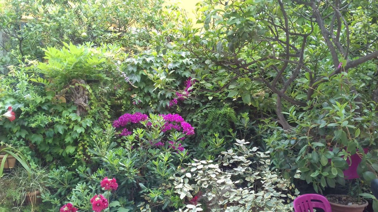 Villa La Clemente ม็องตง ภายนอก รูปภาพ